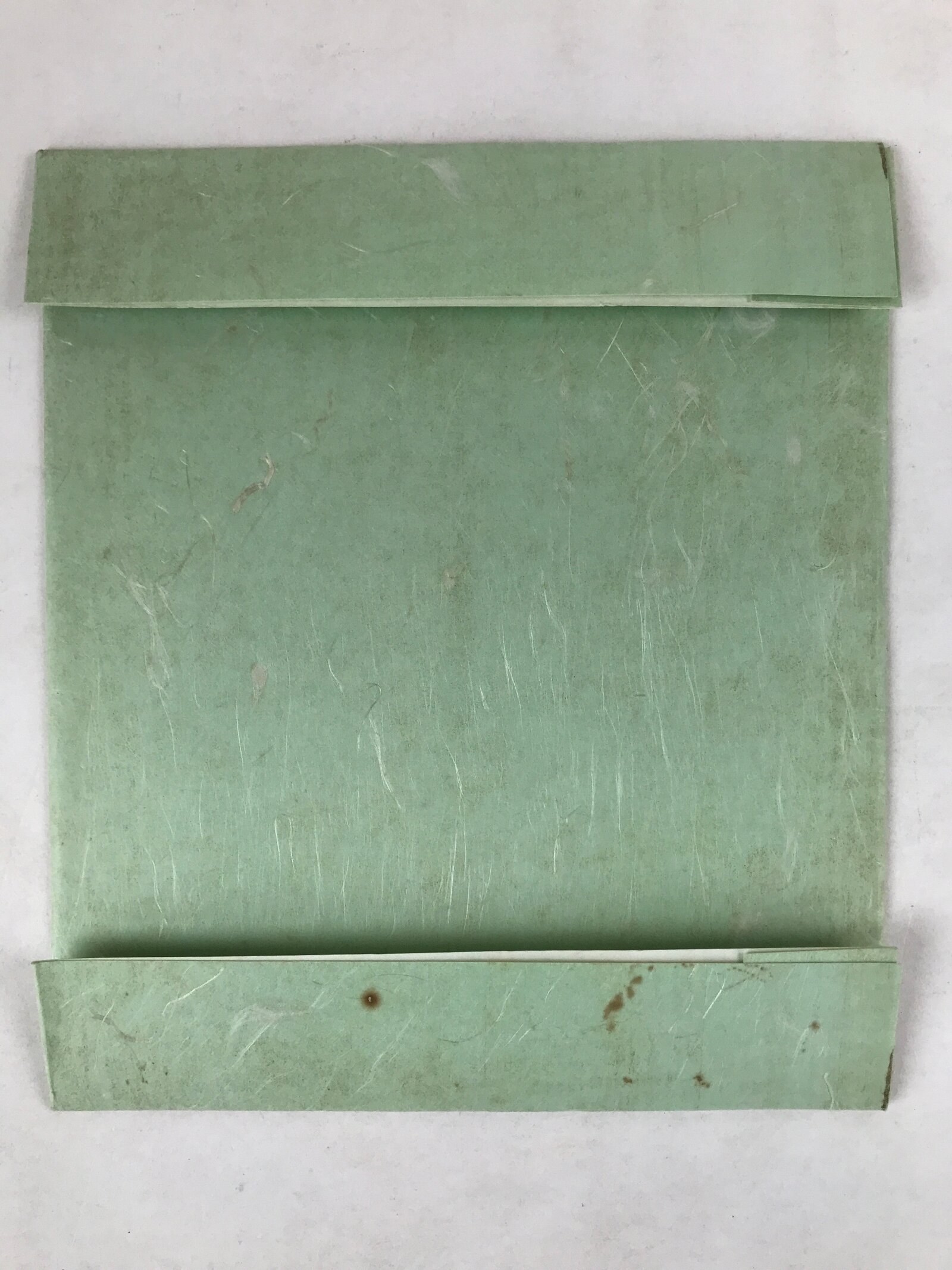 Japanese Zodiac Shikishi Art Board Reproduction Snake Kanji Monochrome A618