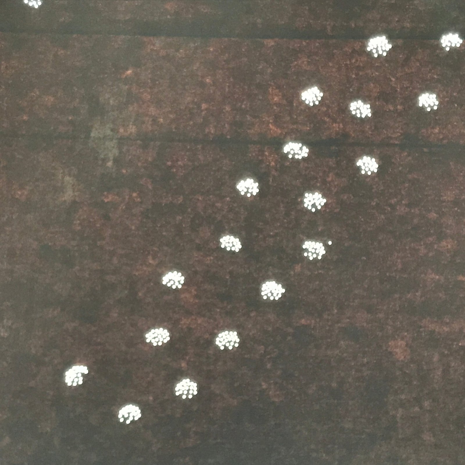 Antique Japanese Katagami Paper Kimono Stencil Katazome Hana Flower Pattern A756