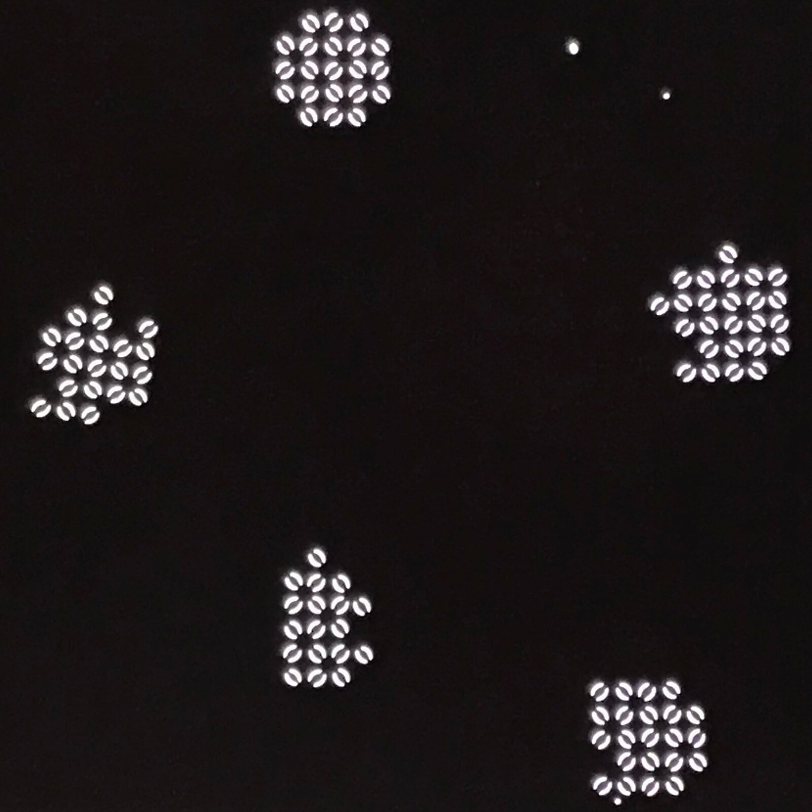 Antique Japanese Katagami Paper Kimono Stencil Katazome Hydrangea Floral A880