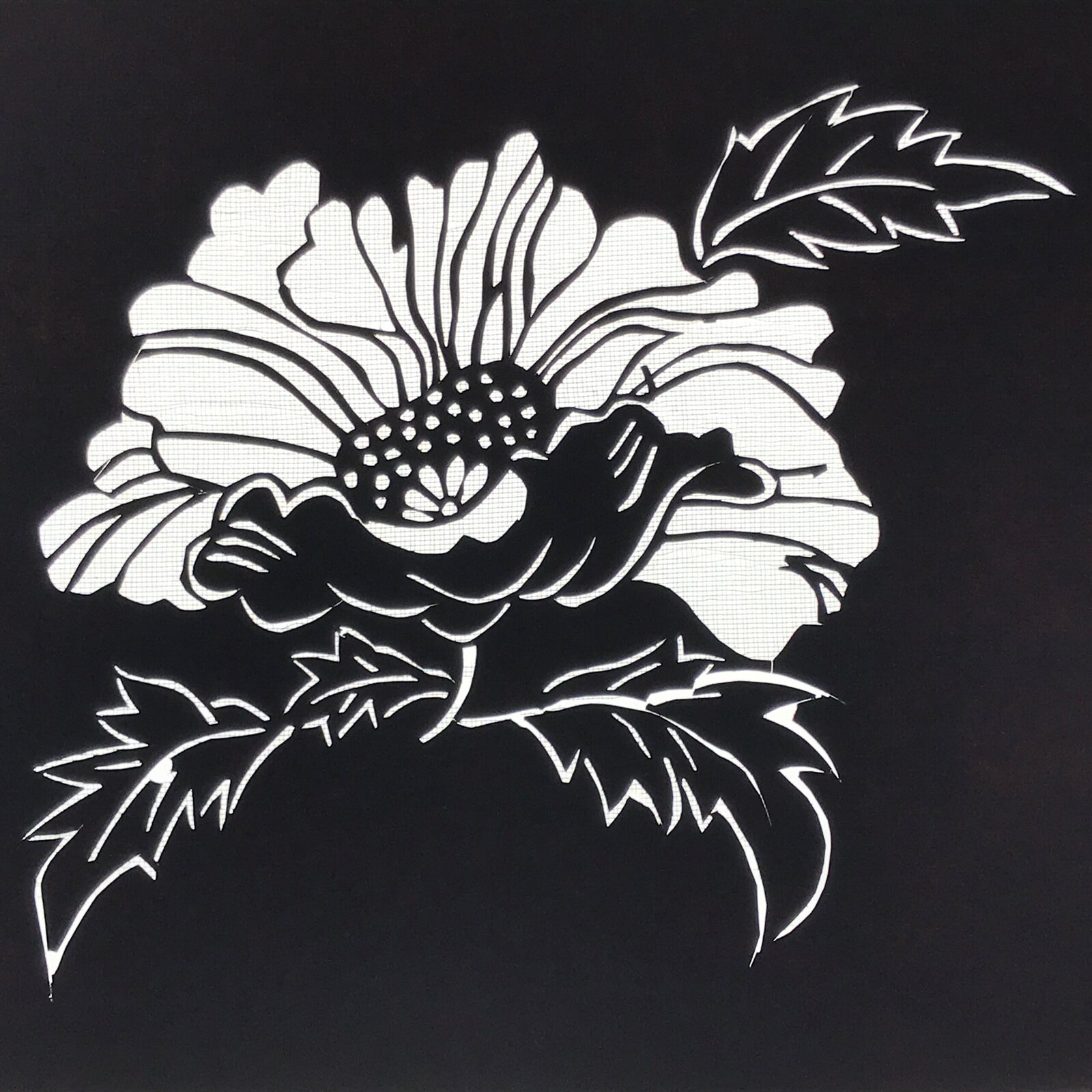 Antique Japanese Katagami Paper Kimono Stencil Katazome Peony Botan Flower A782