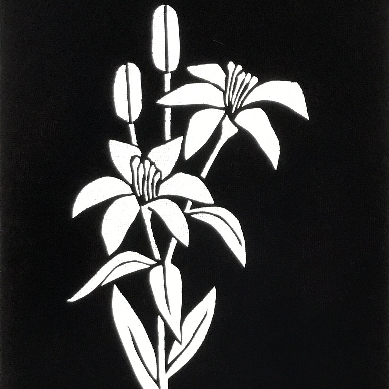 Antique Japanese Katagami Paper Kimono Stencil Katazome Yuri Lily Flowers A775