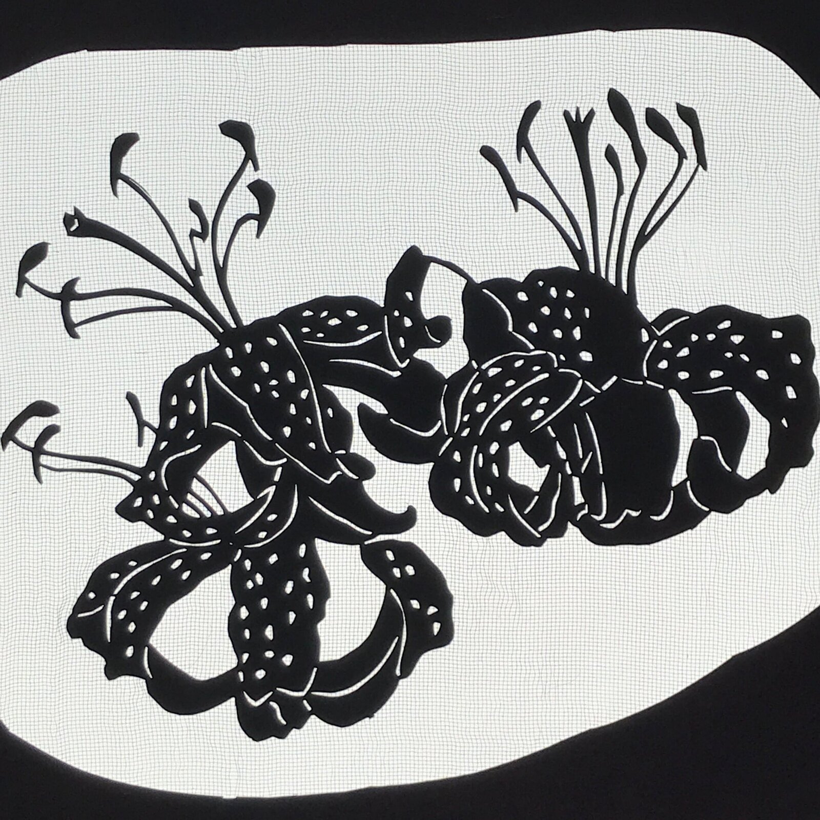 Antique Japanese Katagami Paper Kimono Stencil Tiger Lily Flowers Oniyuri A768