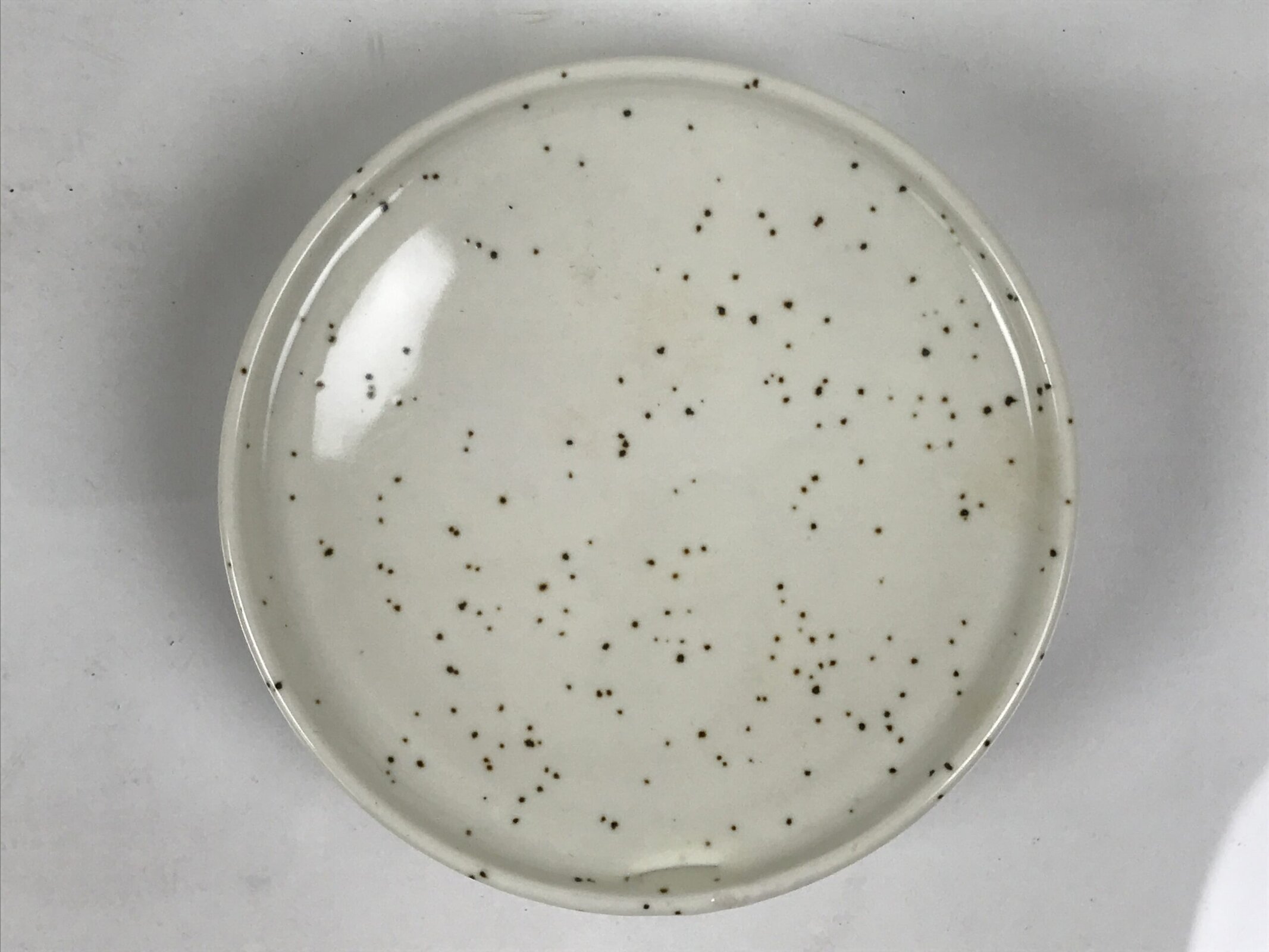 Japanese Ceramic Lidded Bowl Mushiwan Cup Pottery White Blue Bamboo Leaves Y546