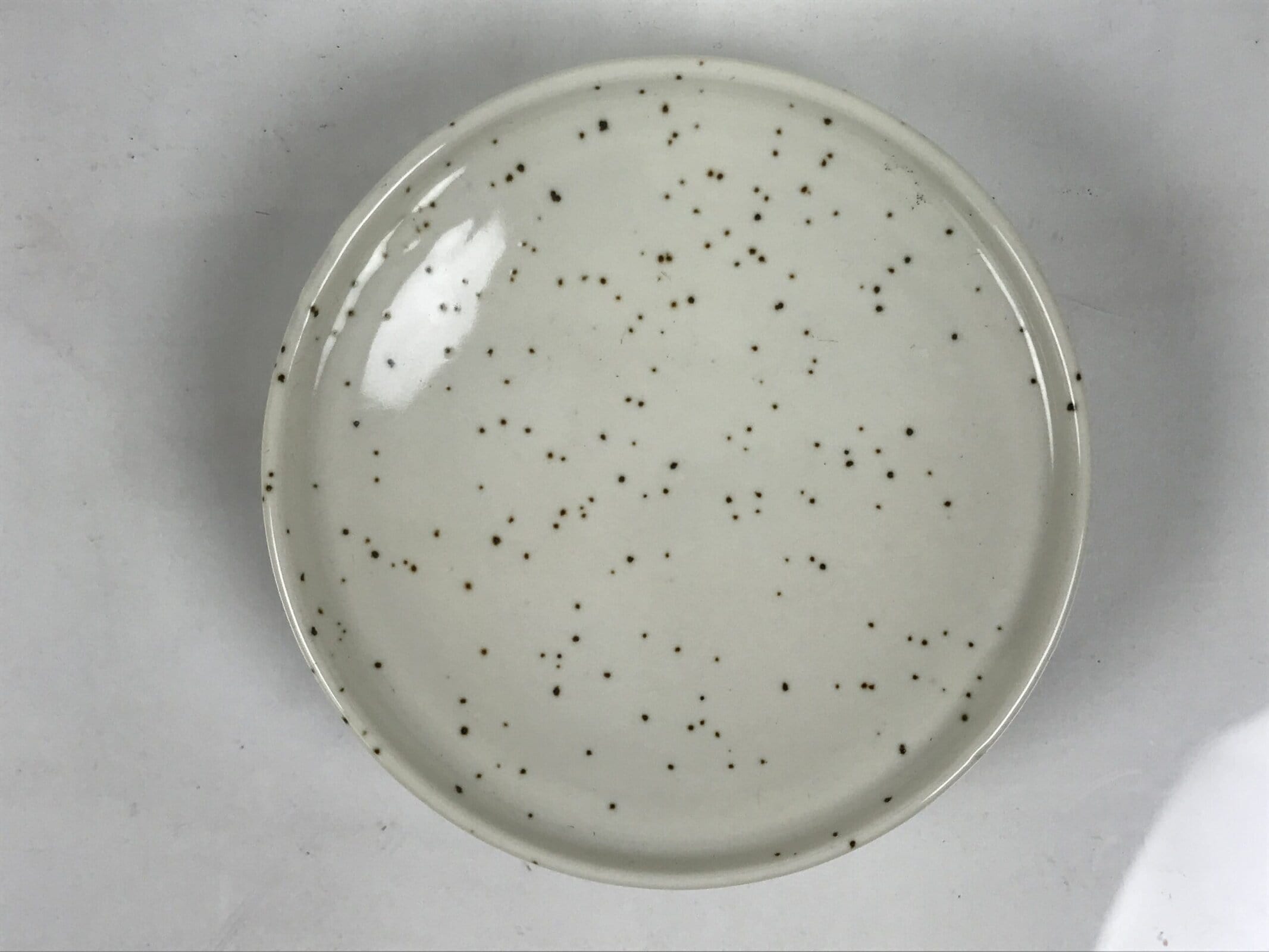 Japanese Ceramic Lidded Bowl Mushiwan Cup Pottery White Blue Bamboo Leaves Y549