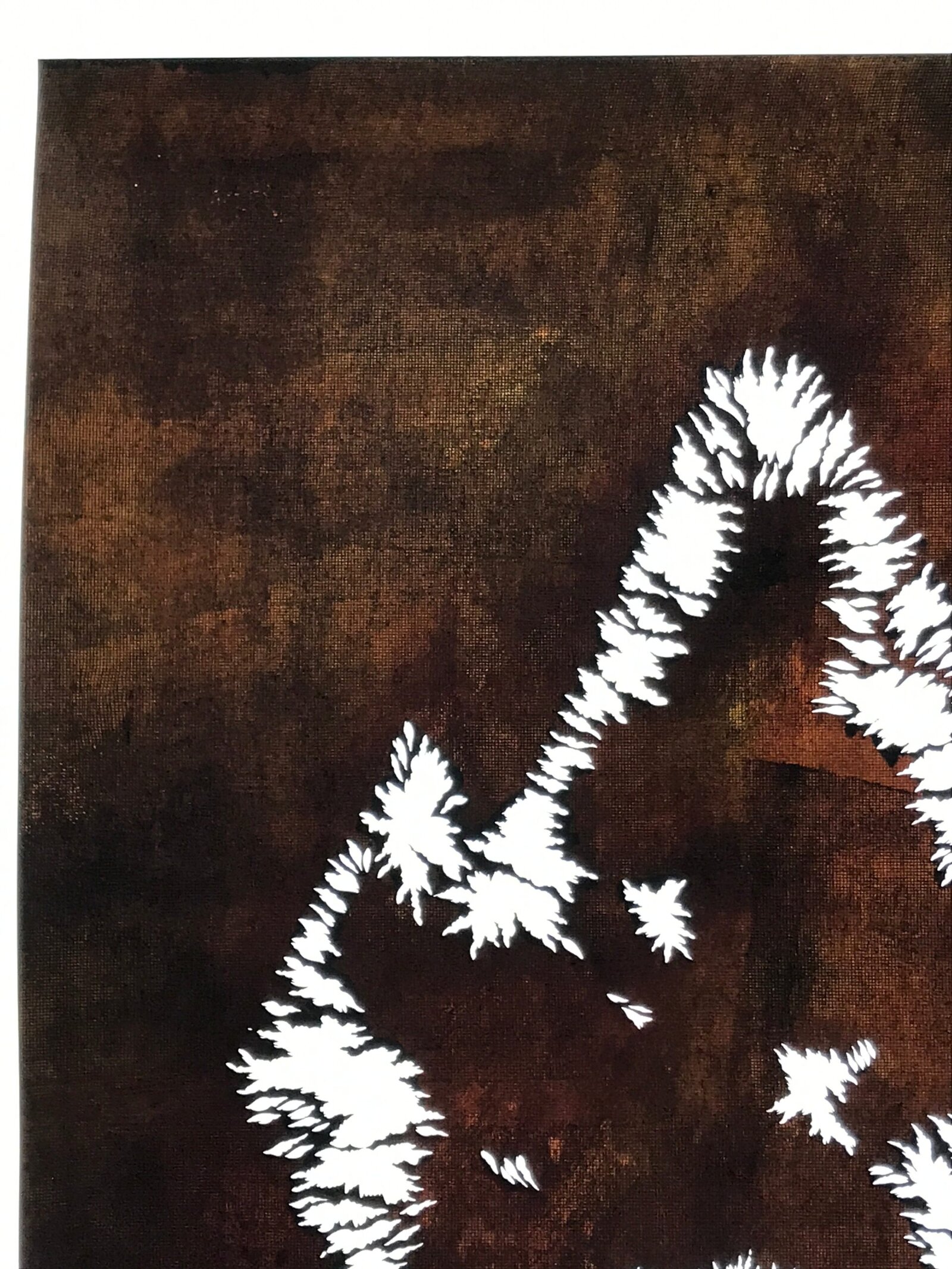 Japanese Katagami Paper Kimono Stencil Vtg Katazome Plants Bushes Grass A810