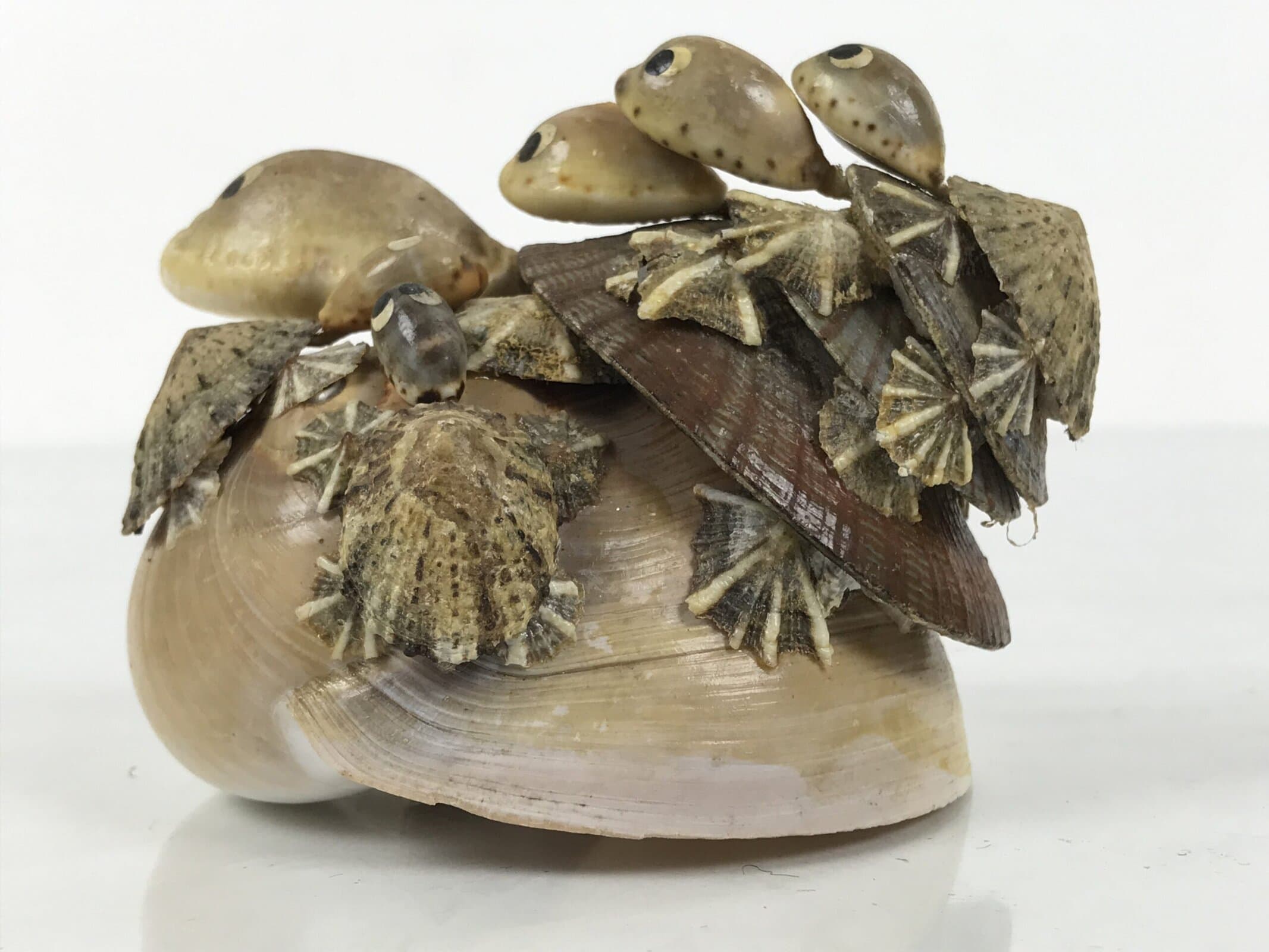 Japanese Shell Kokeshi Doll Vtg Turtle Family Figurine Mother Kids Brown KF807