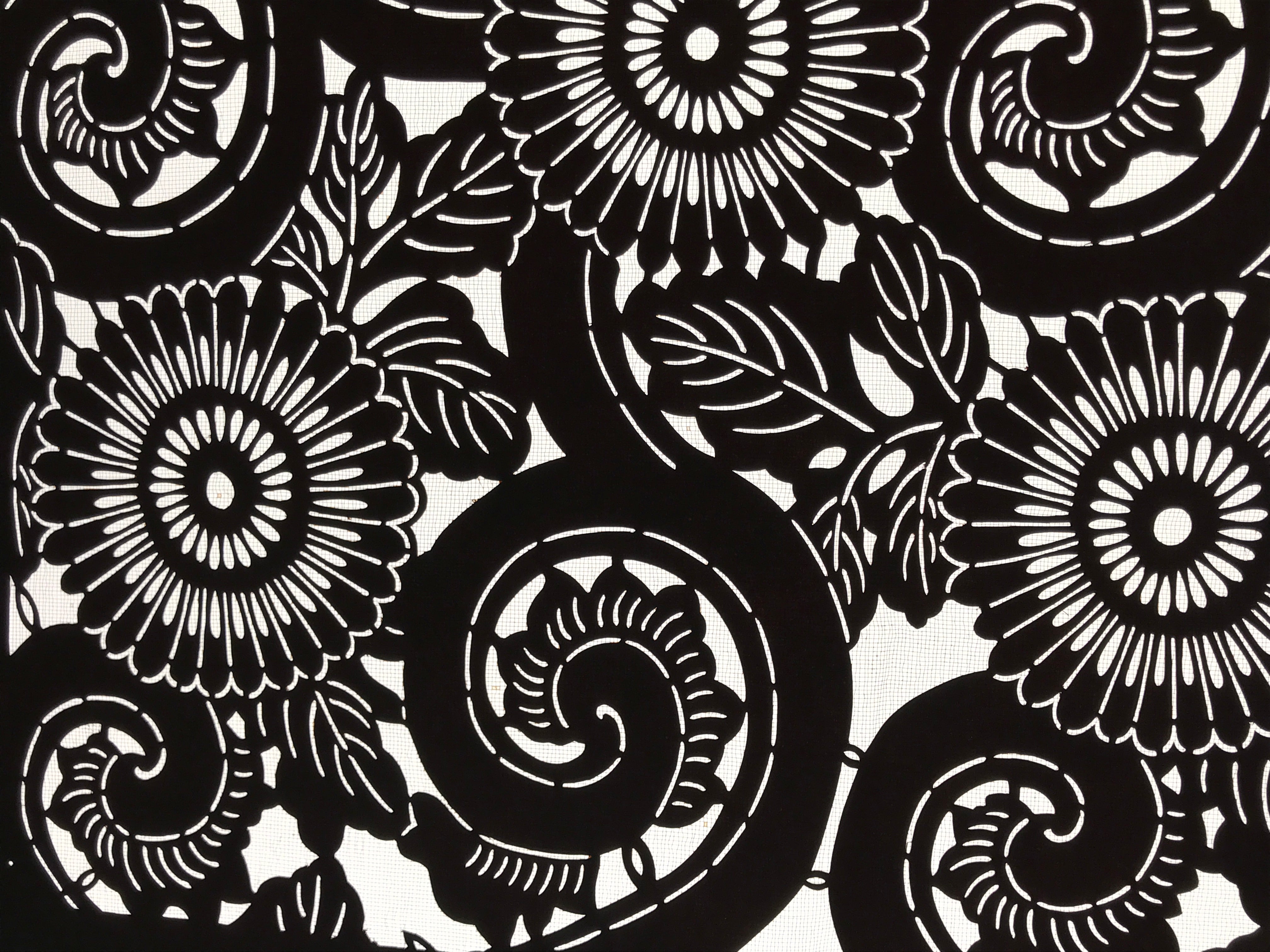 Antique Japanese Katagami Kimono Paper Stencil Katazome Chrysanthemum Kiku 4Y699