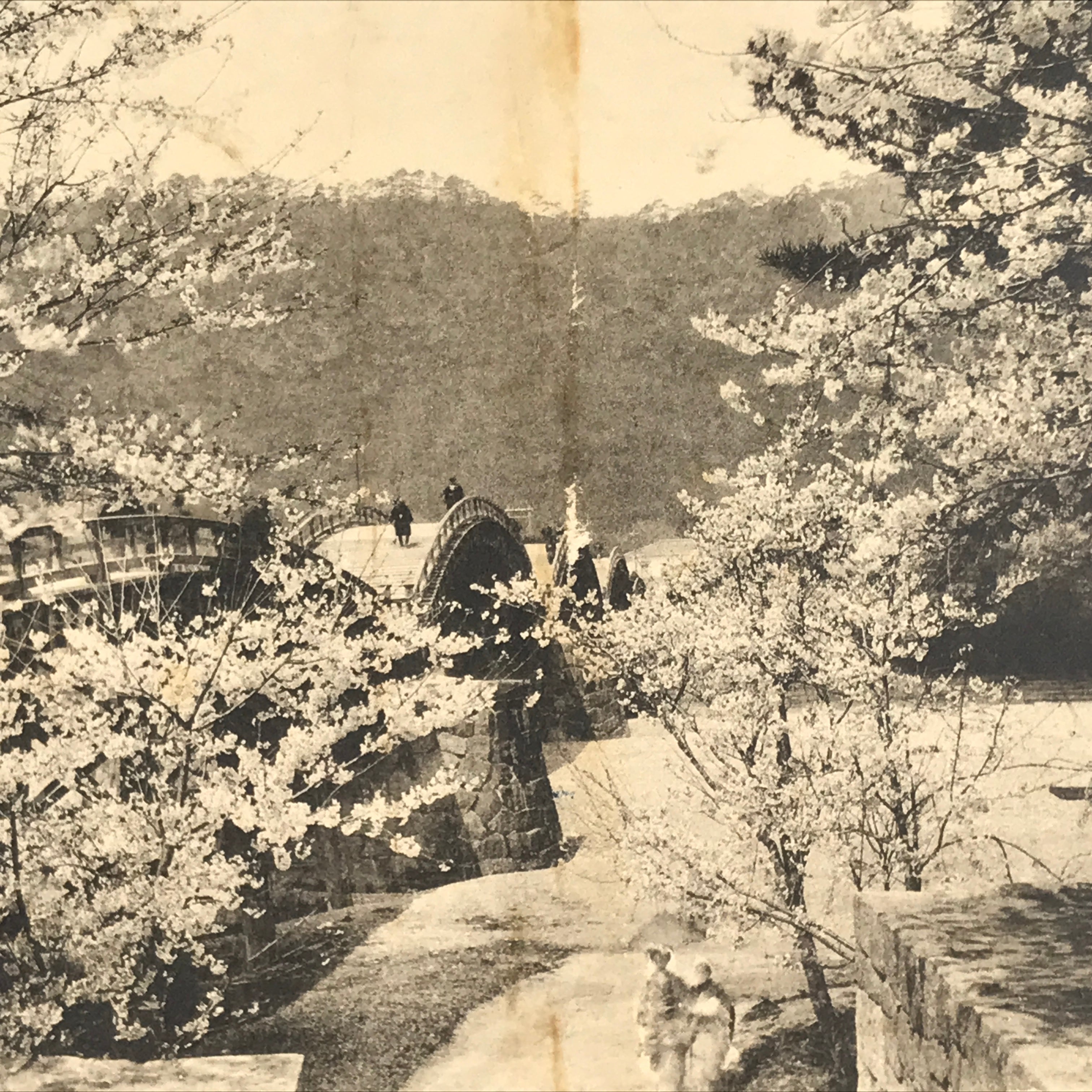 Japanese BW Postcard Iwakuni Kintai Bridge C1920 Showa Photography PC166