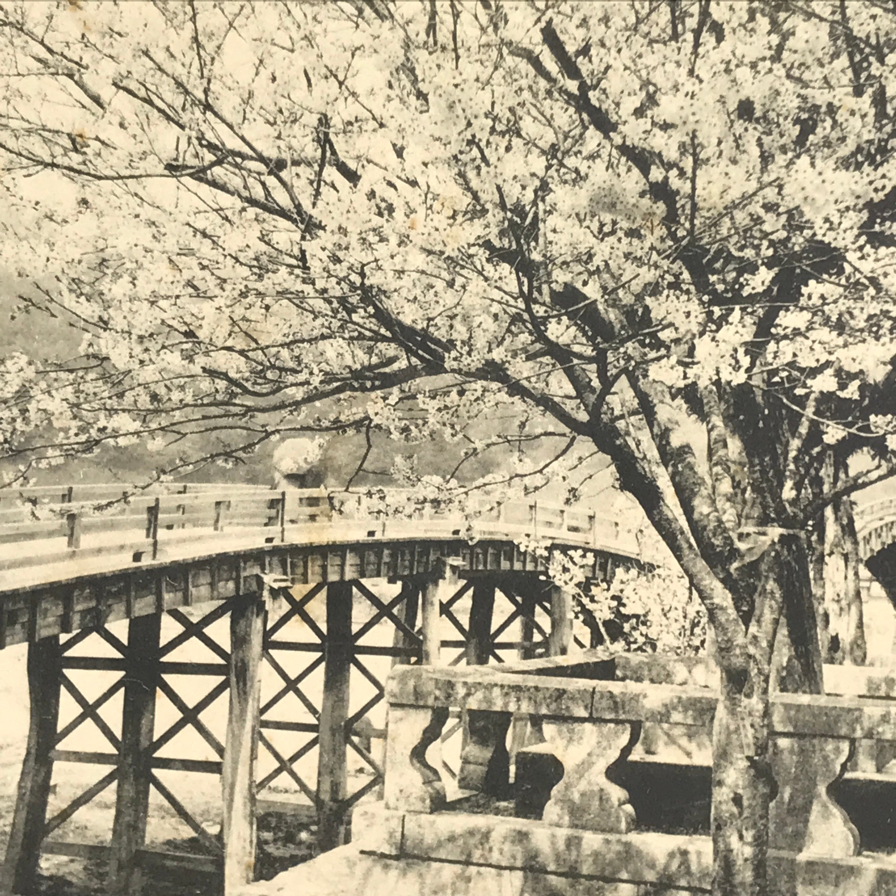 Japanese BW Postcard Iwakuni Kintai Bridge C1920 Showa Photography PC167