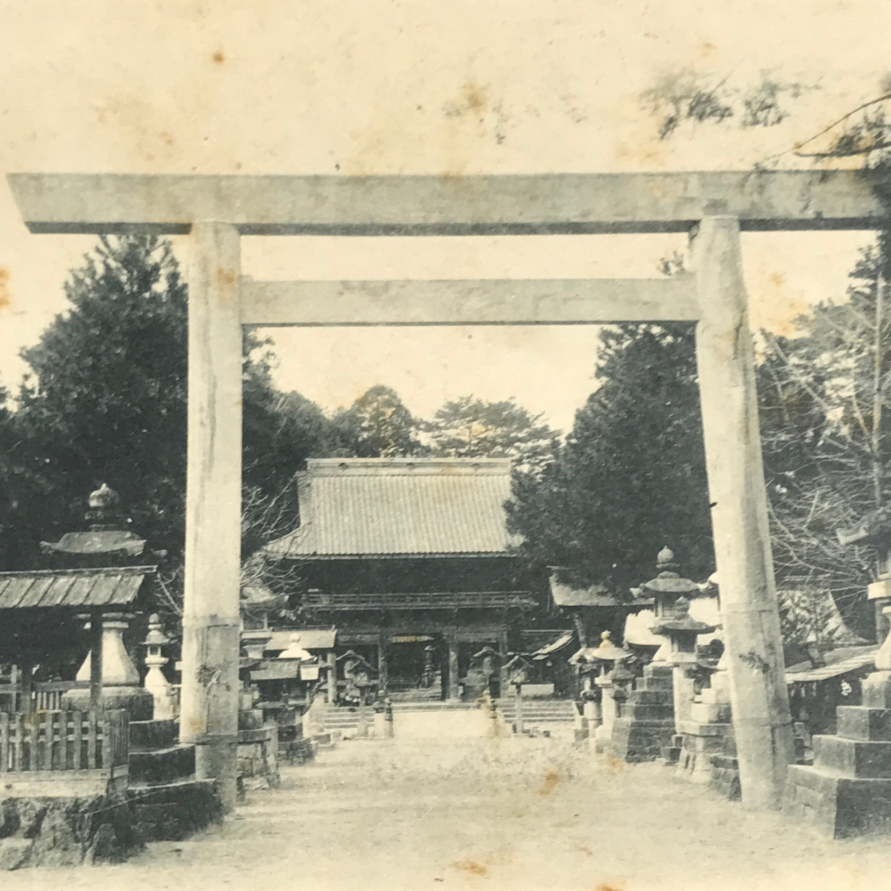 Japanese BW Postcard Owari Tsushima Shrine Torii C1920 Showa Photography PC174