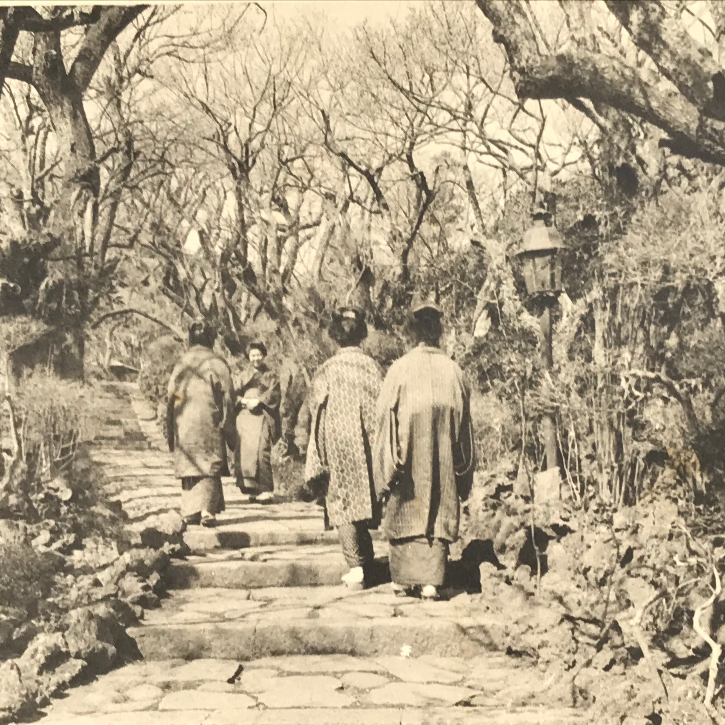 Japanese BW Postcard Tokyo Plum Tree Garden C1920 Taisho Photography PC203
