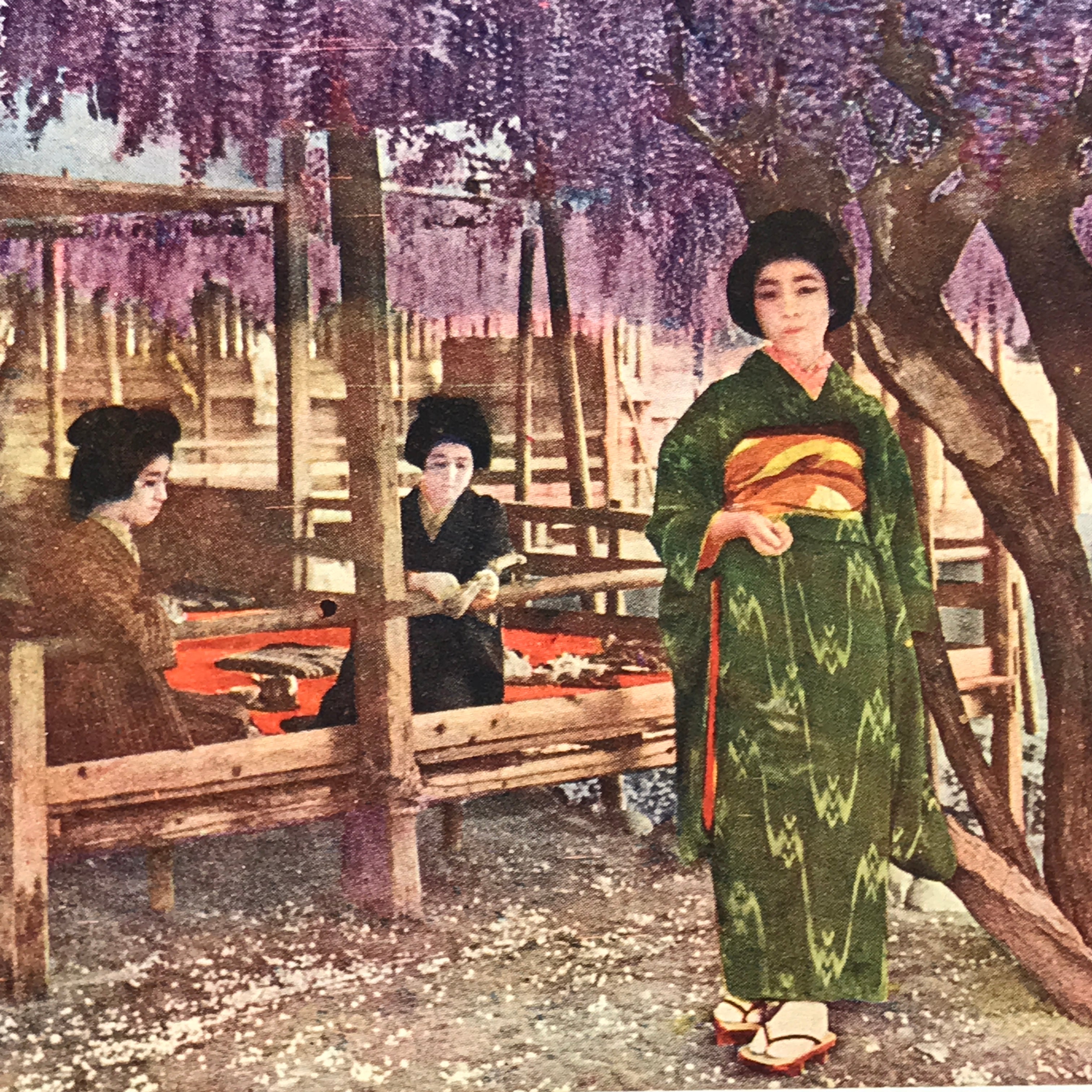 Japanese Postcard Wisteria Kimono Women C1930 Showa Color Photography PC178